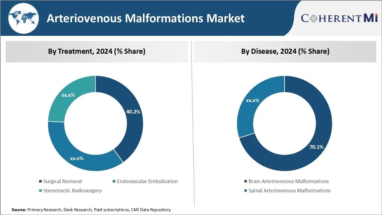 Arteriovenous Malformations Market By Segment Type