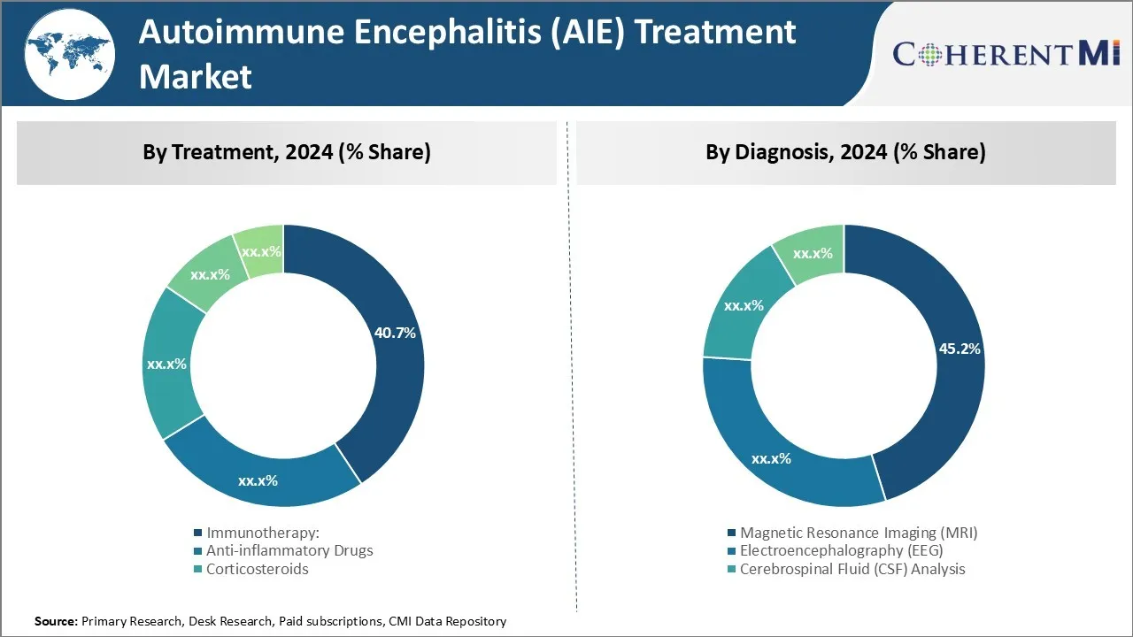 Autoimmune Encephalitis (AIE) Treatment Market Segment Type