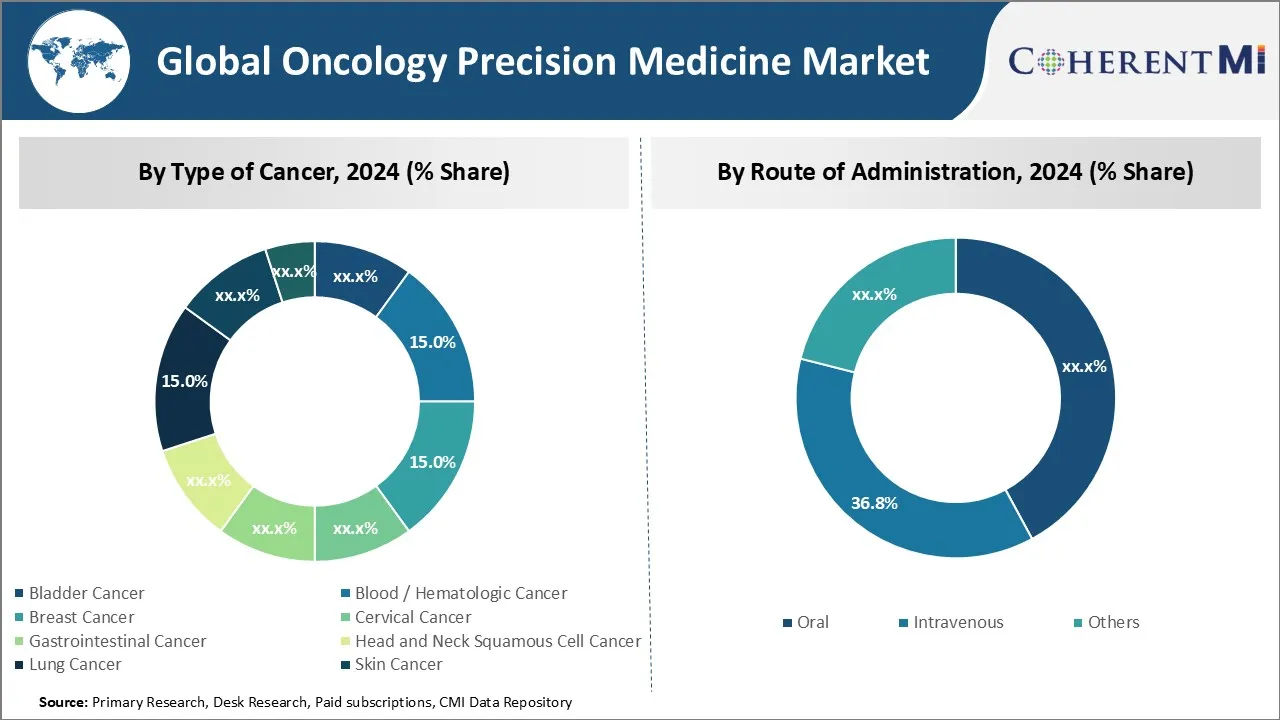 Oncology Precision Medicine Market By Segmentation