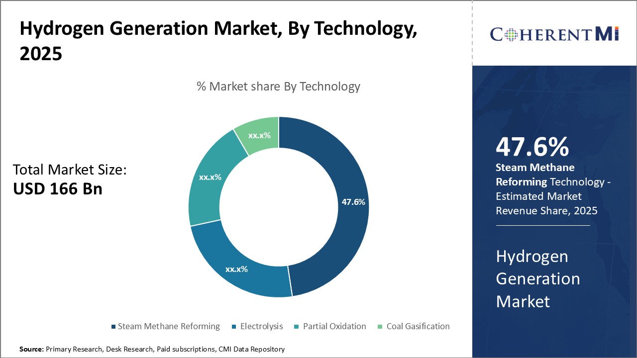 Hydrogen Generation Market By Segment Type