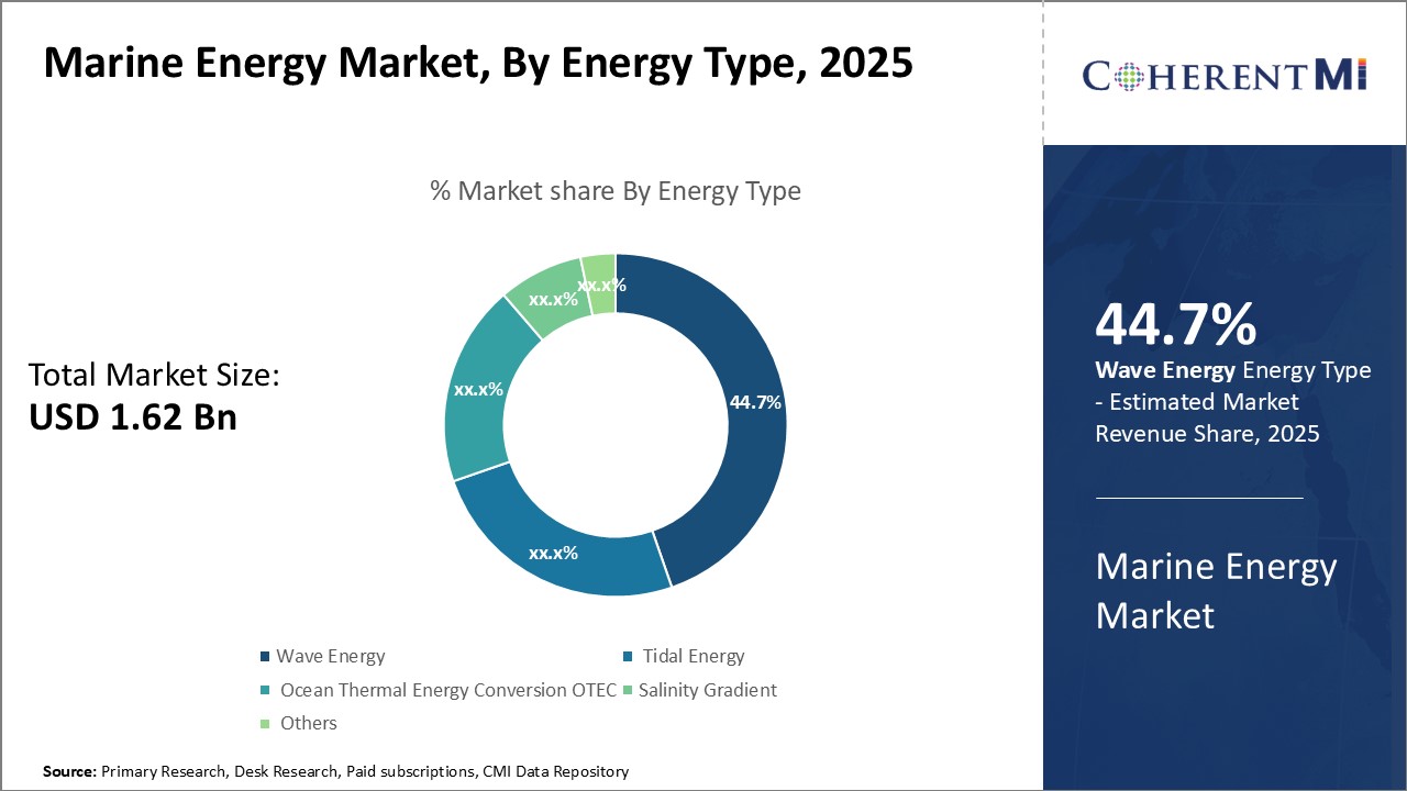 Marine Energy Market By Segment Type