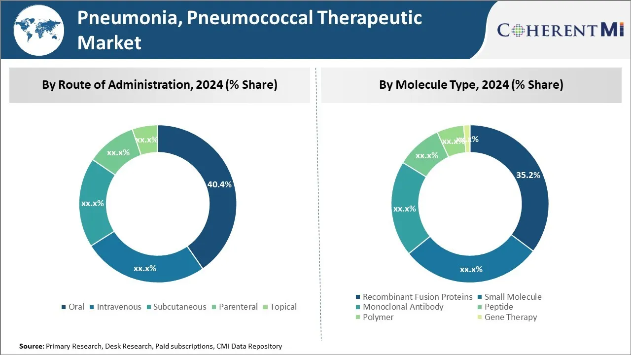 Pneumonia, Pneumococcal Therapeutic Market By Segmentation