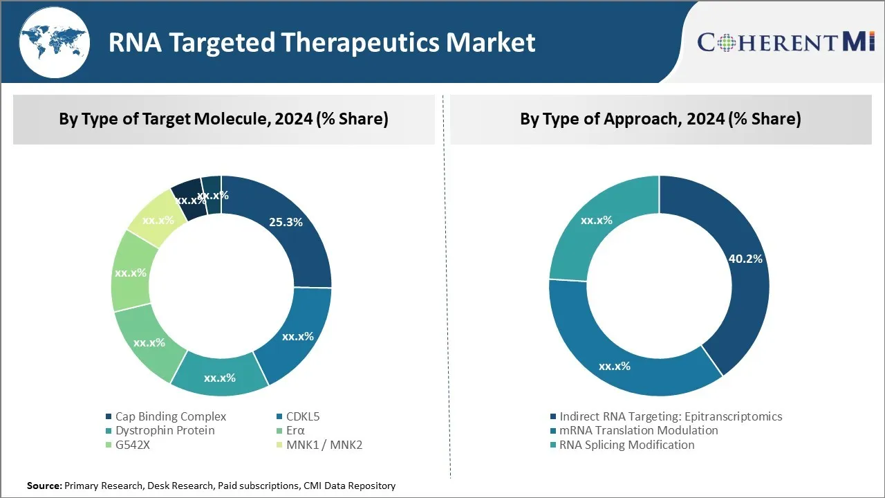 RNA Targeted Therapeutics Market Segment Type