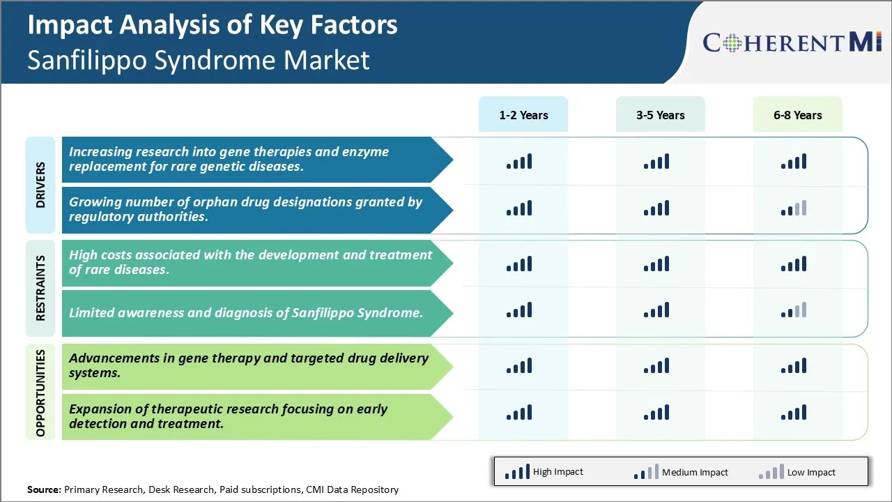 Sanfilippo Syndrome Market Key Factors