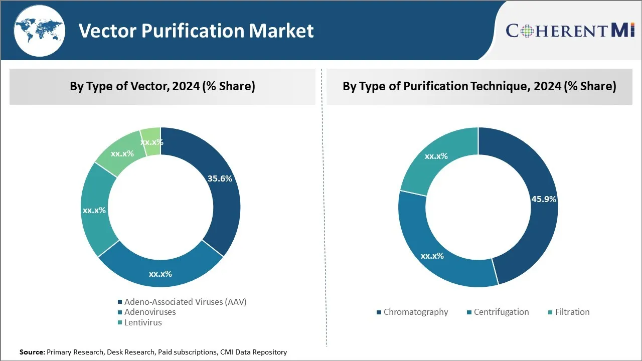 Vector Purification Market By Segmentation